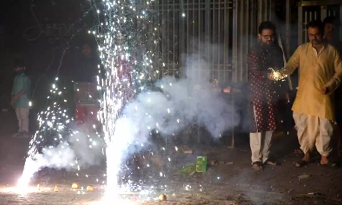 Environmentalists irked over relaxation of decibel limits for firecrackers in West Bengal