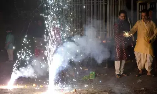 Environmentalists irked over relaxation of decibel limits for firecrackers in West Bengal