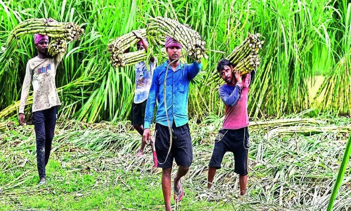 Farmers demanding more price for sugar cane; Factory owners denied