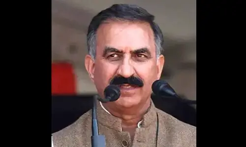 Himachal lifts ban on export of safeda, bamboo