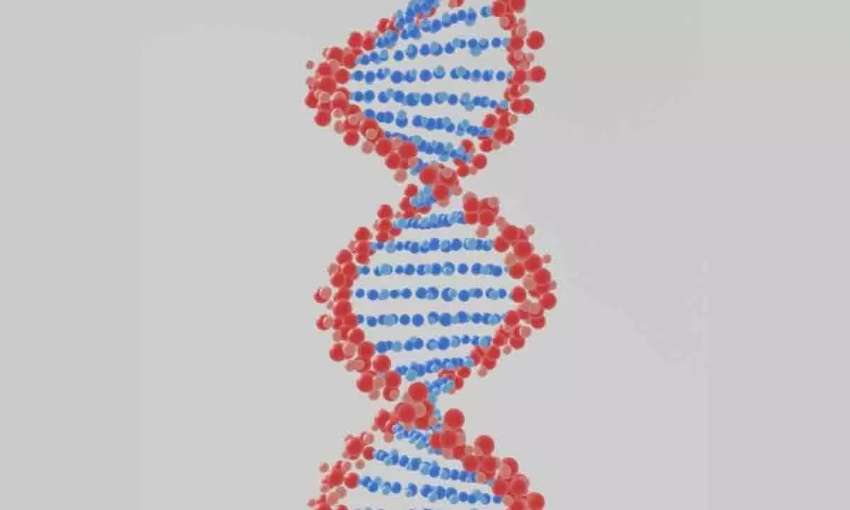 Gene analysis tool that overcomes challenges with CRISPR editing developed