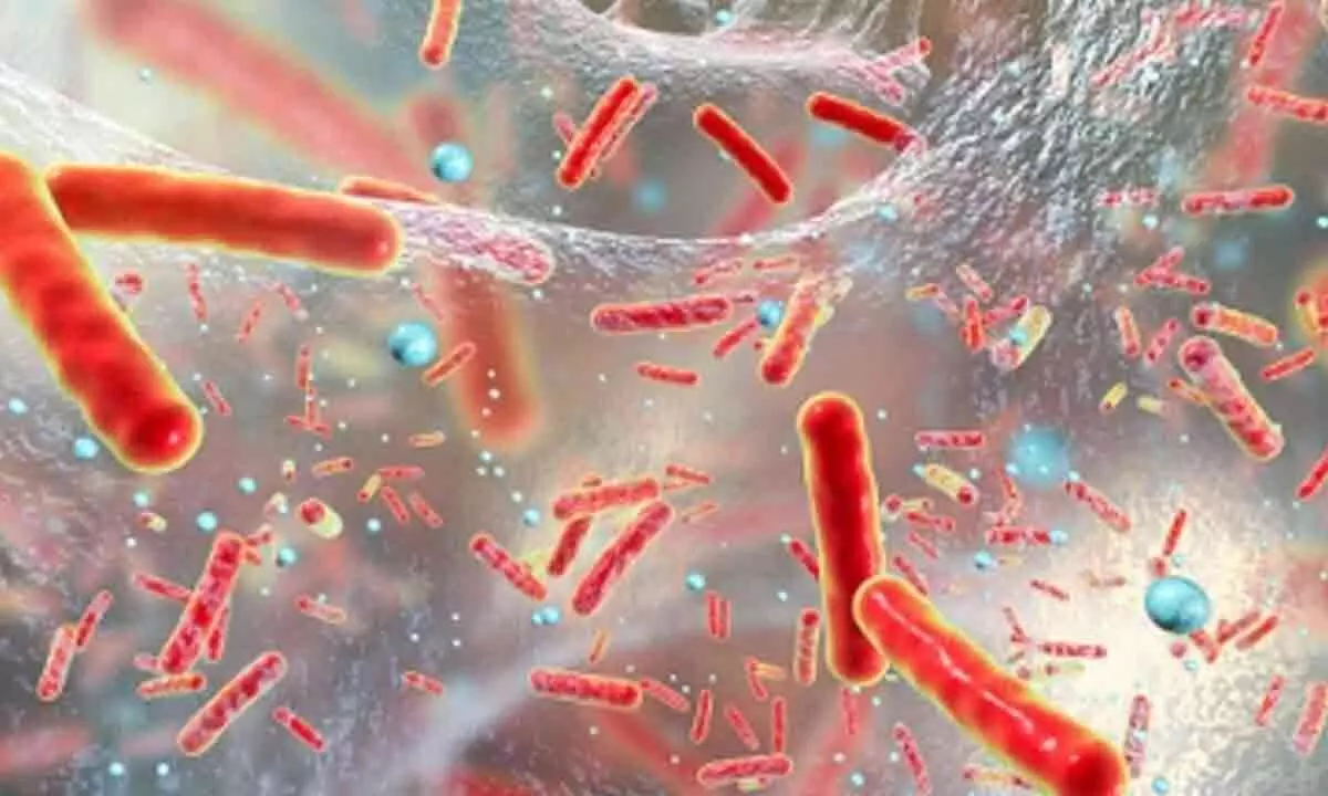 Genomic surveillance tech key to curb deadly ‘superbug’ spread: Study