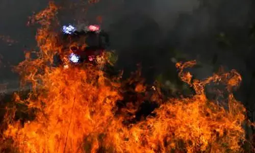 Police investigate suspicious bushfires in Australian state