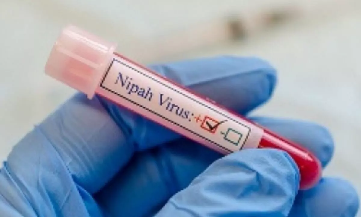 Bats in Keralas Wayanad test positive for Nipah virus: ICMR