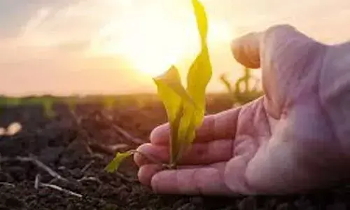 Organic farming Food, soil and decarbonisation