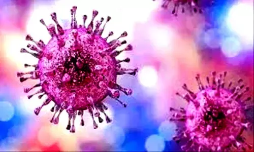 Chinese scientists find 8 new viruses from rodents, sparking pandemic risk