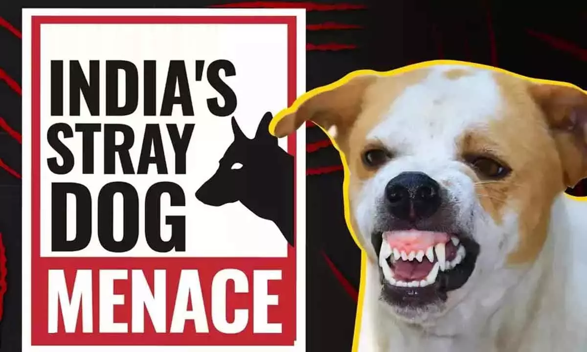 Govt laxity turns stray dog menace grave