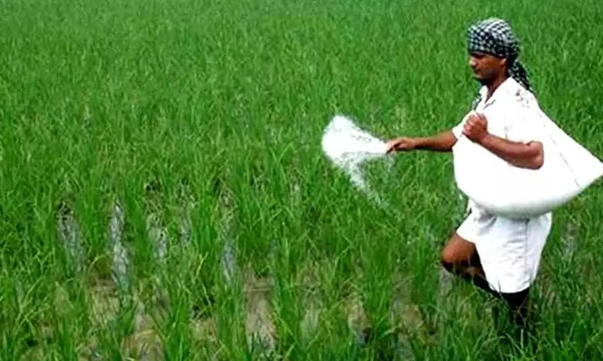 Govt approves Rs 22,303 cr subsidy on rabi fertilisers