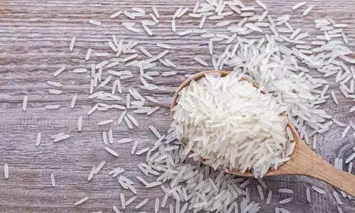 Govt slashes minimum export price of basmati by $250 per tonne