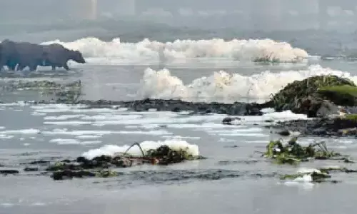 New Delhi: 9-day Yamuna Yatra from Delhi to Mathura