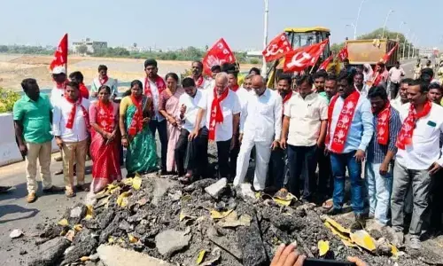 CPI wants inquiry into cable bridge construction work