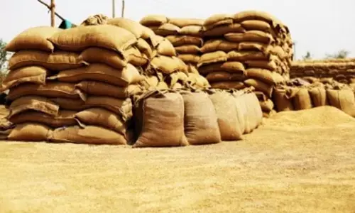 From Nov 1, bidders can purchase 200 MT wheat through open market