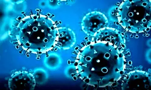 Long-Covid not linked to ongoing infection or active brain damage: Study