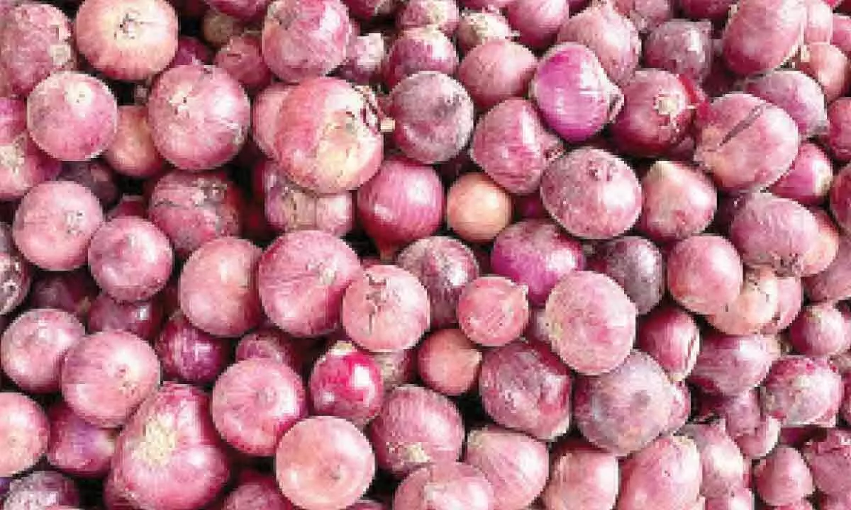 Guntur: Onions become dearer at Rs 65 a kg