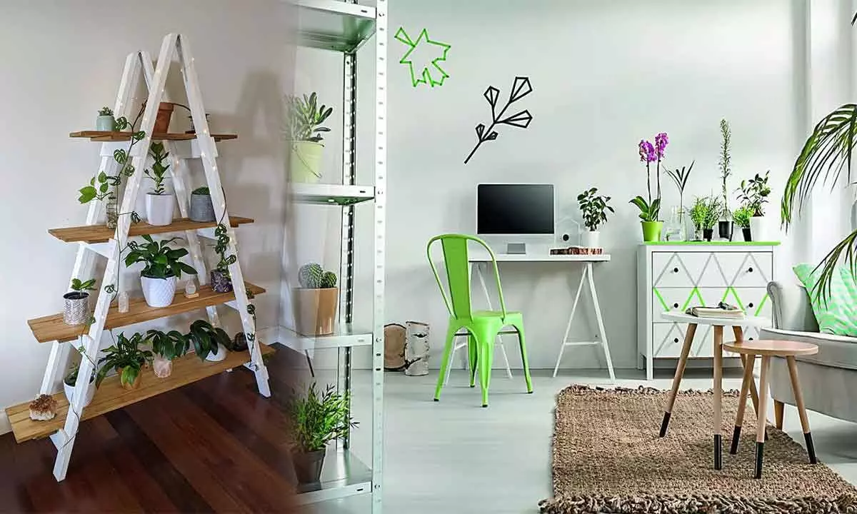 Create a green corner in every room