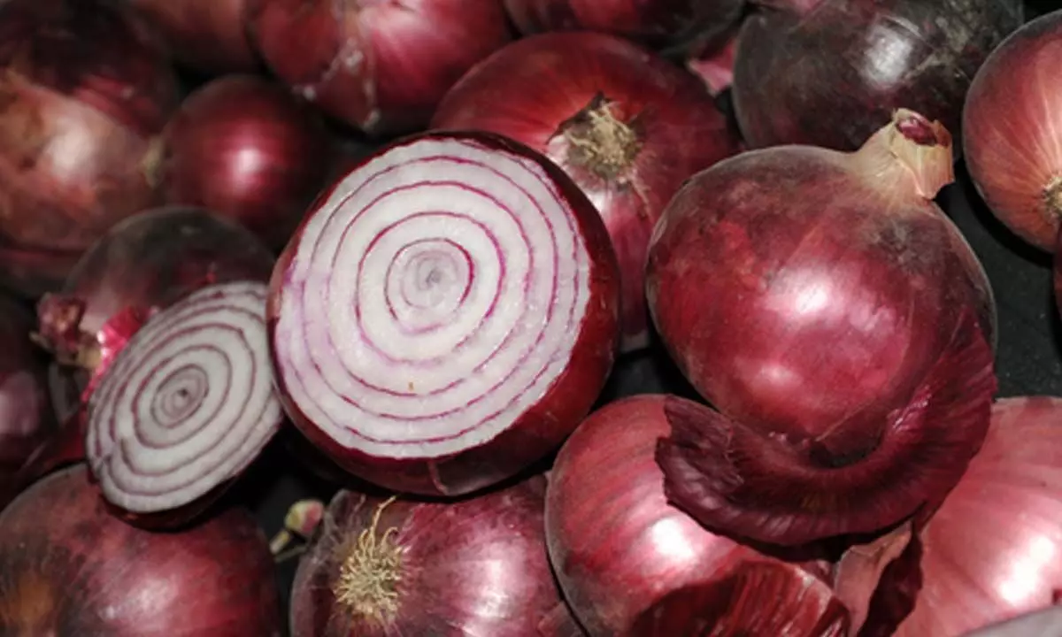 Govt allows export of 99,150 tonnes of onion to 6 countries