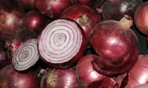 Govt lifts ban on onion exports with price rider