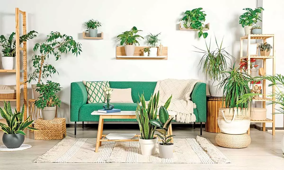 Transform Your Home into Green Sanctuary of Serenity