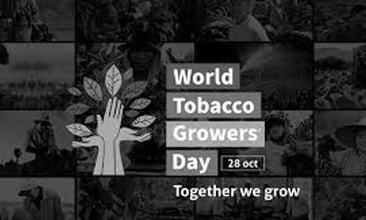 World Tobacco Growers’ Day celebrated