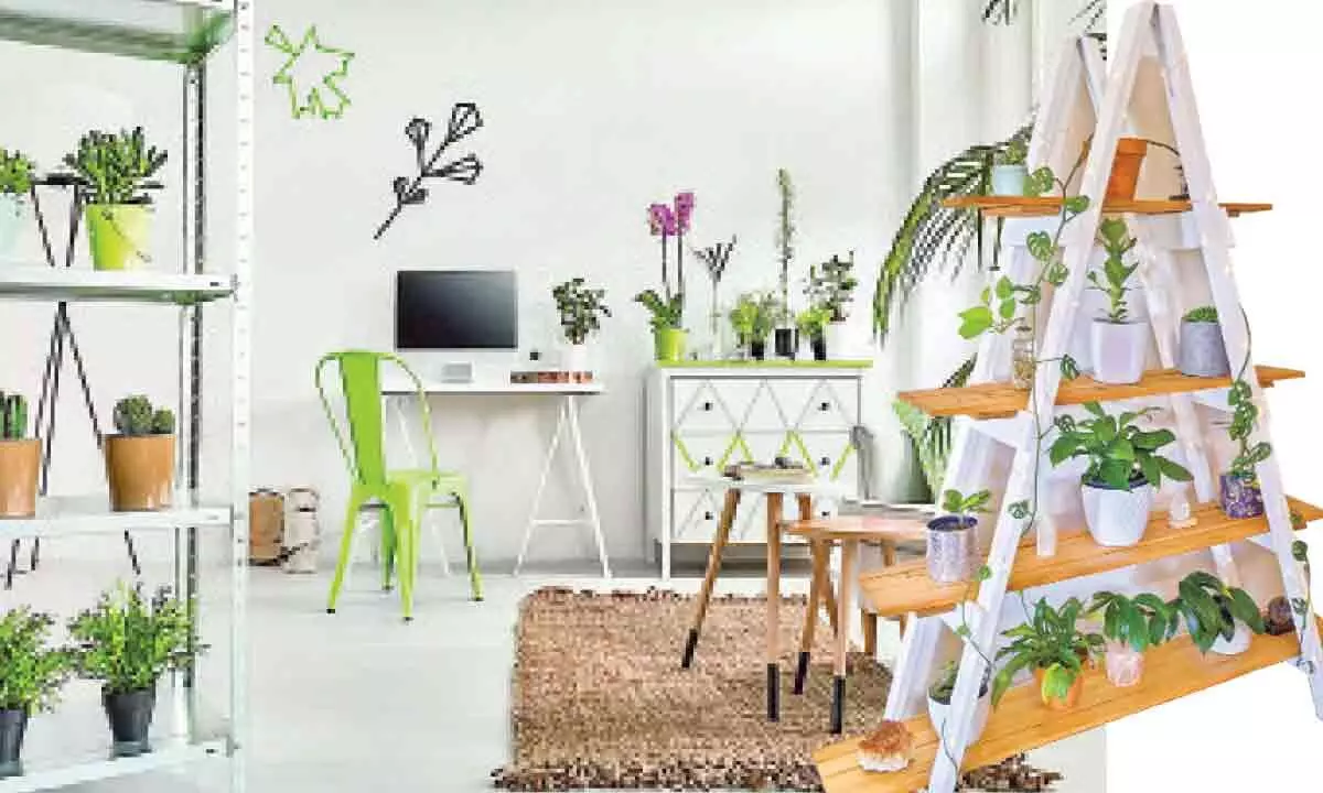 Create a green corner in every room