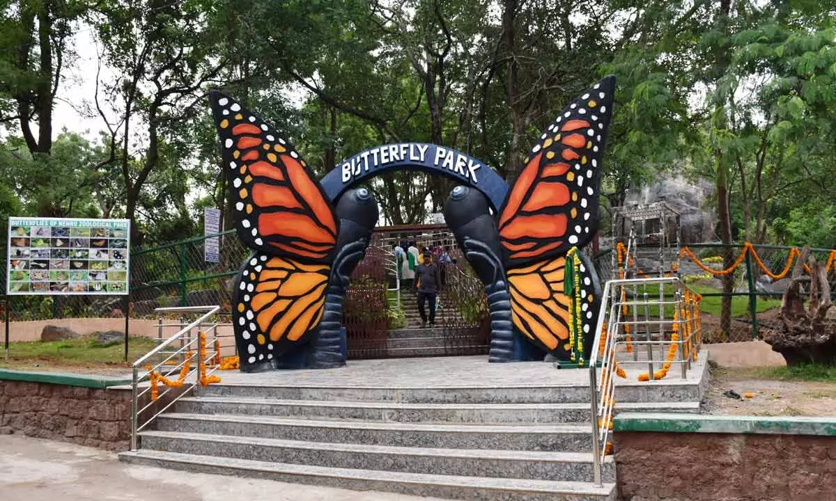 Hyderabad: ‘Insect World’ inaugurated at Nehru zoo