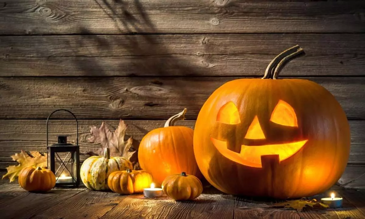 Halloween Day 2023: Date, history, meaning and celebration