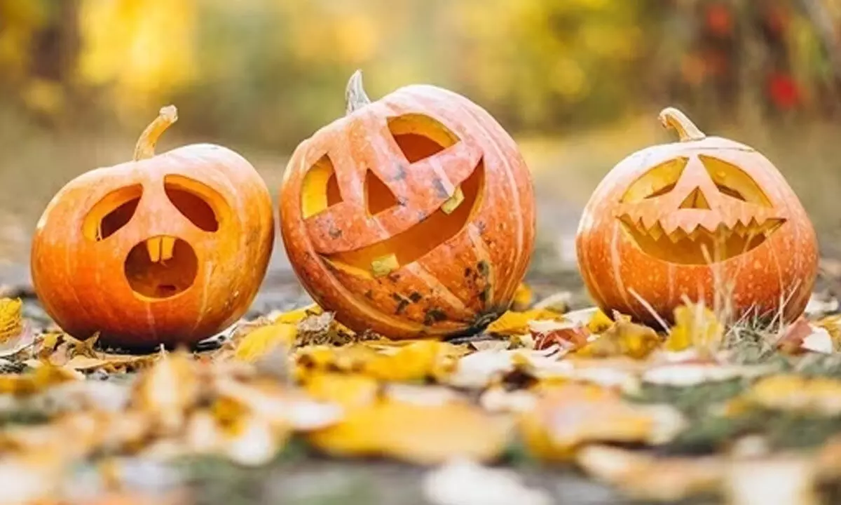 Happy Halloween 2023: My best wishes, messages, greetings and phrases