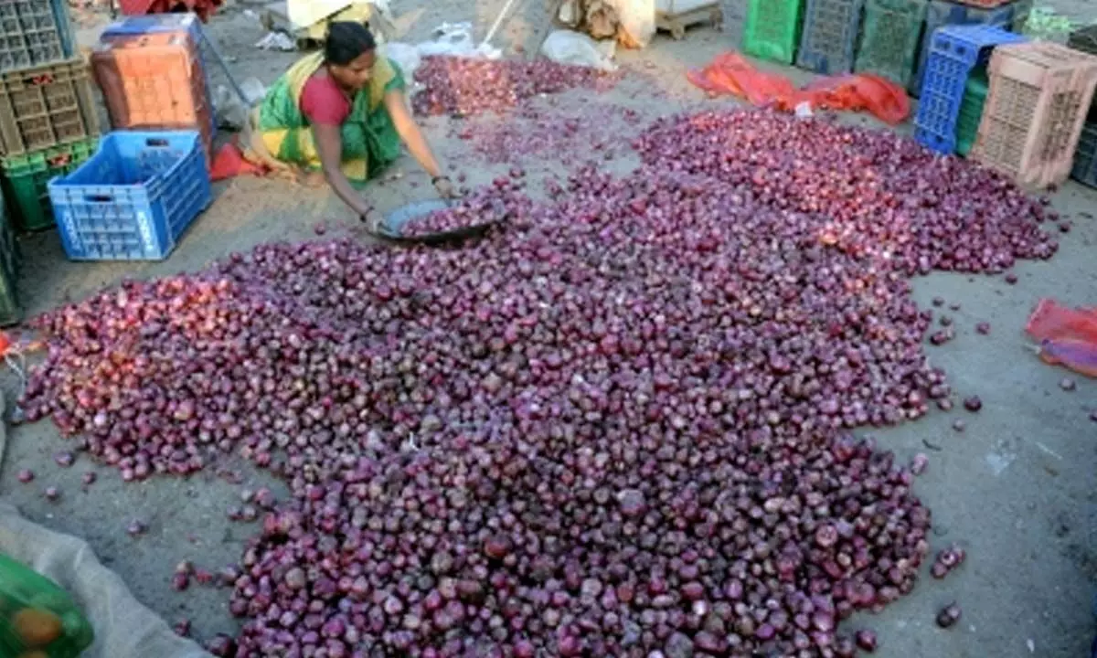 Onion prices dip after hike in minimum export price: Govt
