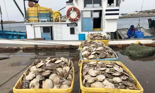 US military bulk buys Japanese seafood to counter China ban