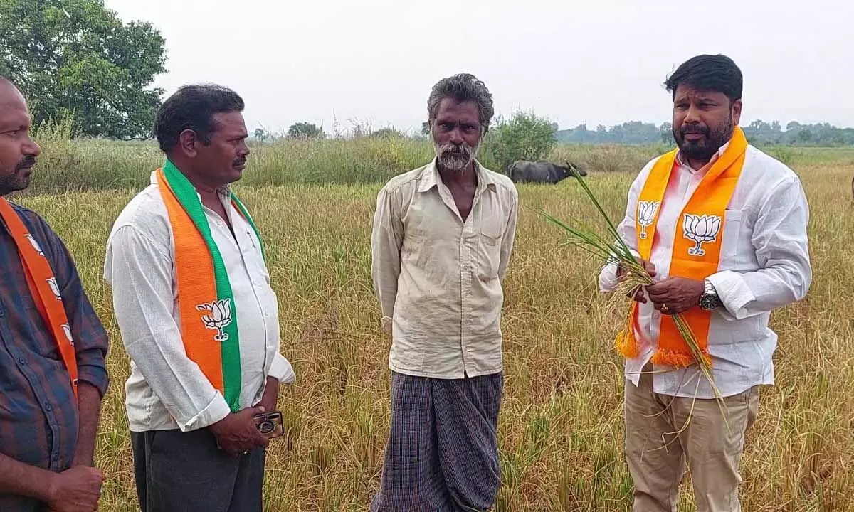 BJP demands Rs 30,000 compensation for farmers