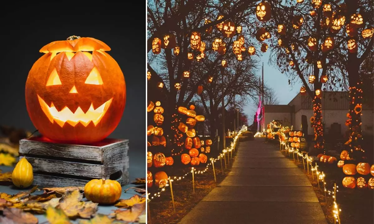 Know why people carve pumpkins on Halloween night?