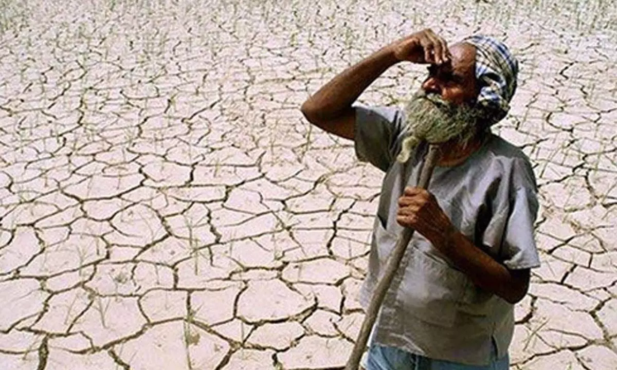 Maharashtra declares ‘drought’ in 40 talukas with scanty rainfall
