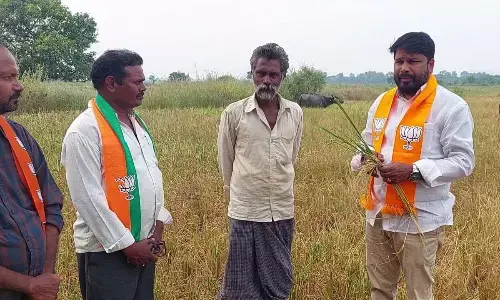 BJP demands Rs 30,000 compensation for farmers
