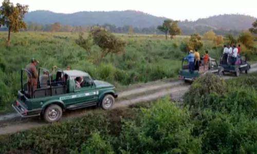 Kaziranga elevated corridor likely to get Centre’s nod soon