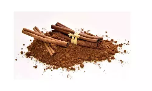 National Cinnamon Day