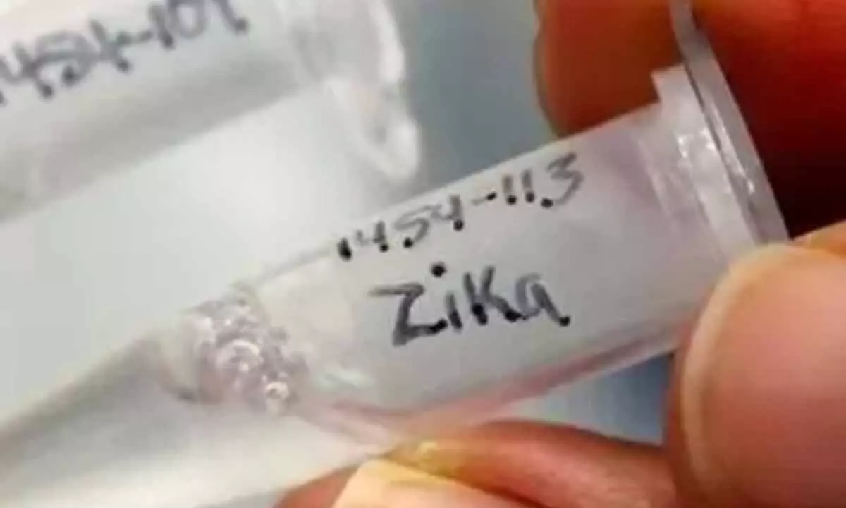Zika Virus Detected in Chikkaballapura District Health Authorities on High Alert