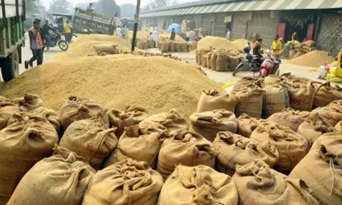 Paddy procurement touches 161 LMT till Nov 1
