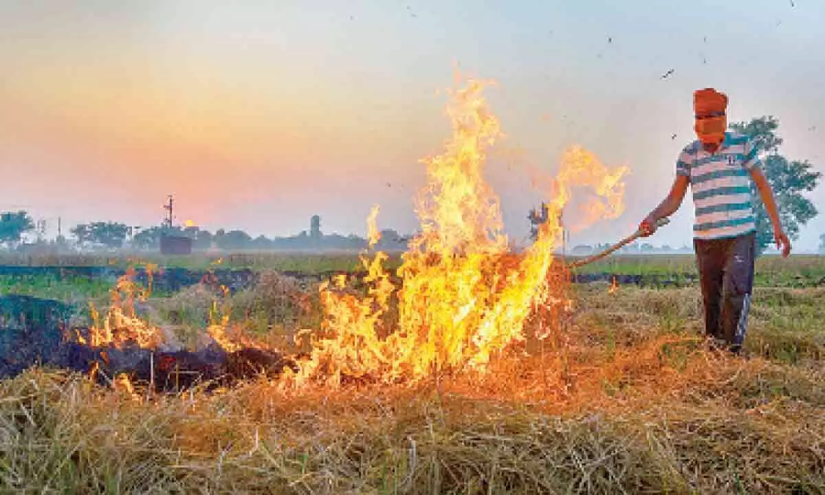 New Delhi: Surge in farm fires, Severe air quality alarm in Delhi-NCR