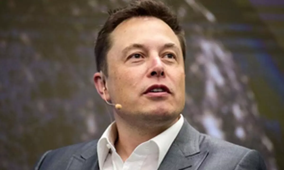 Musk to sue non-profit Media Matters as big companies pause ads