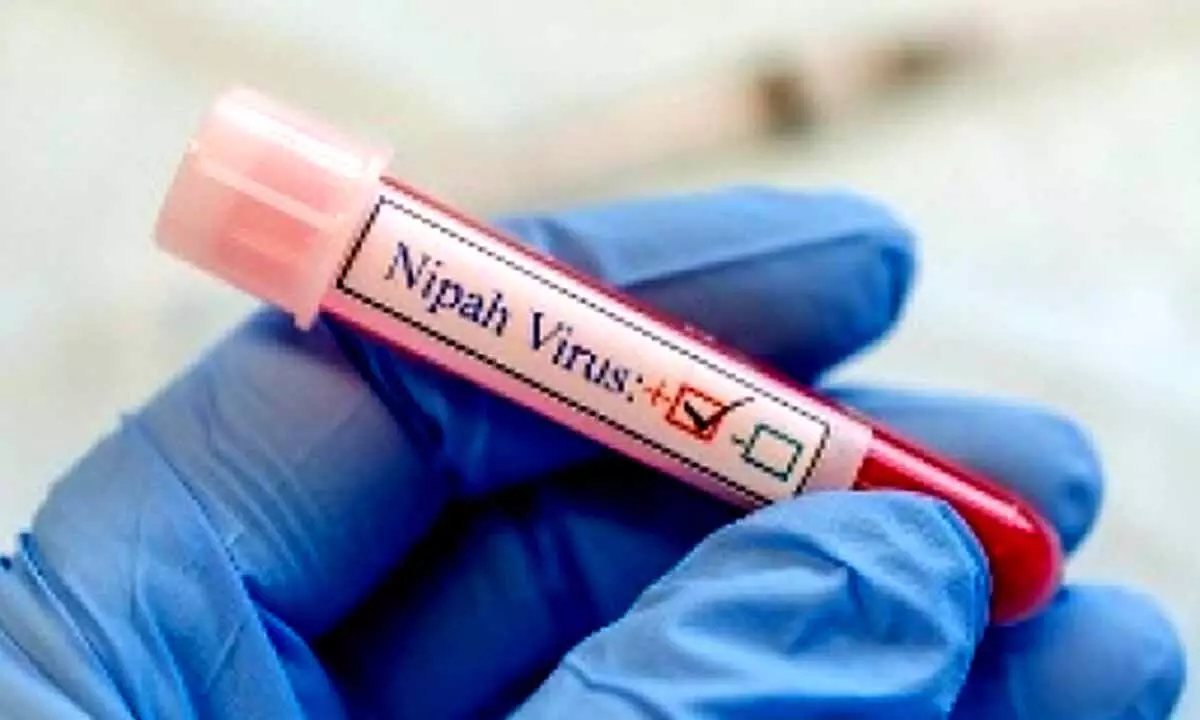 Deaths from Ebola, SARS & Nipah to soar 12x due to climate change: Study