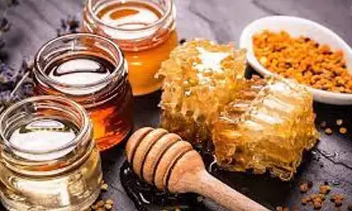 Vietnamese honey maker Tieng Thu Cam eyes India market for exports