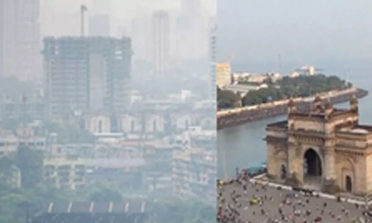 Breathless Mumbai: 78% of citys families has one member hit by pollution