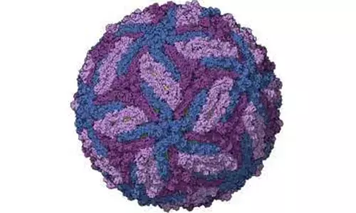 Kerala: Mystery sickness at Thalassery court related to Zika virus