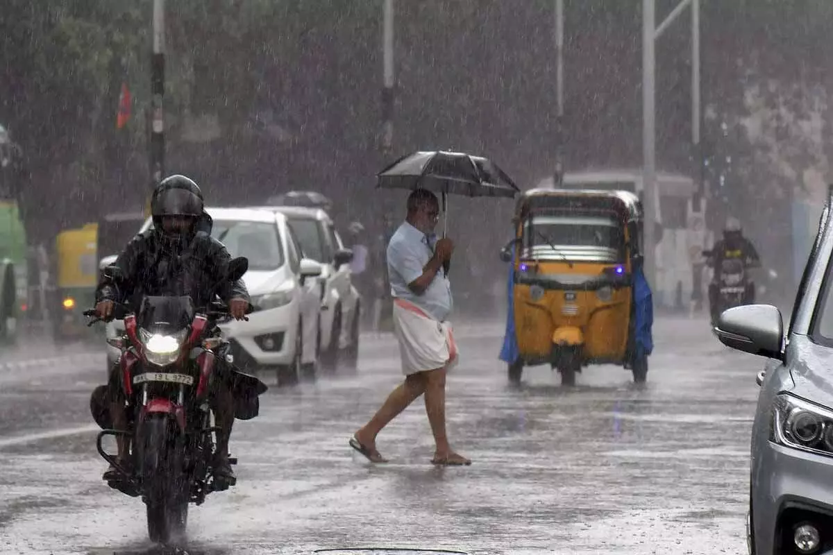 IMD Predicts Isolated Heavy Rainfall In Kerala Amid Southern Weather Patterns