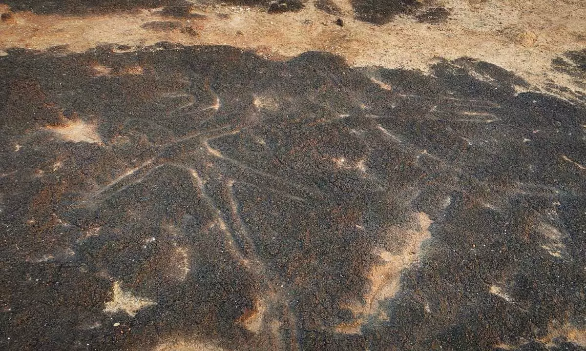 Rock art at Avalakkipara A researcher sheds new light