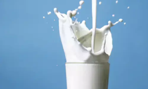 NABARD red flags low milk production, per capita availability in Odisha