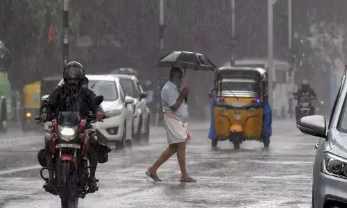 IMD Predicts Isolated Heavy Rainfall In Kerala Amid Southern Weather Patterns
