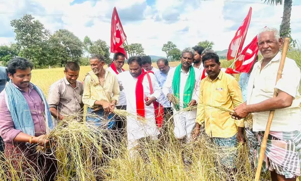 CPI State leaders Dega Prabhakar, T Madhu and others visiting damaged fields due to drought in Jaggampeta on Sunday