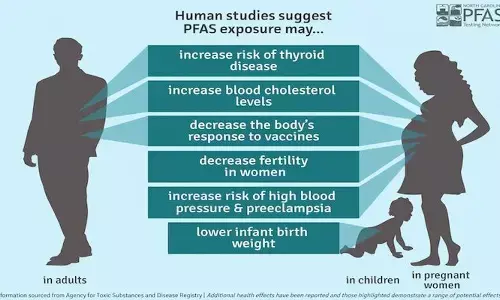 Damaging effects of ‘forever chemicals’