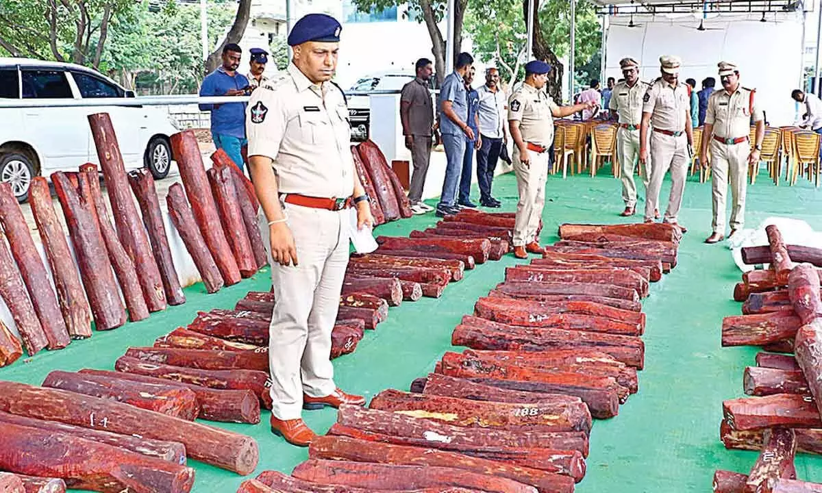 District SP P Parameswar Reddy looking at the seized red sanders logs in Tirupati on Monday